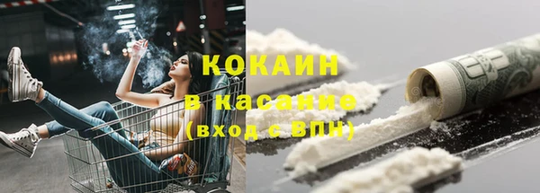 прущие грибы Касимов