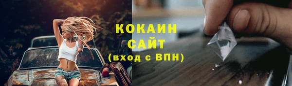 прущие грибы Касимов