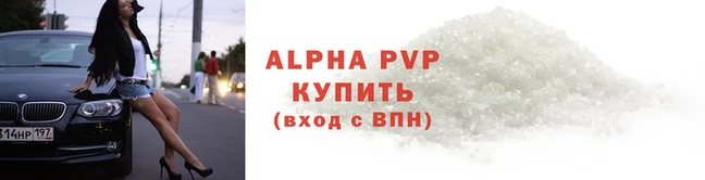 прущие грибы Касимов