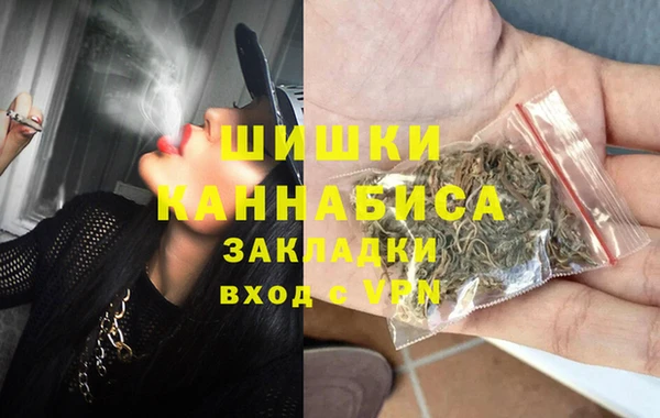 прущие грибы Касимов