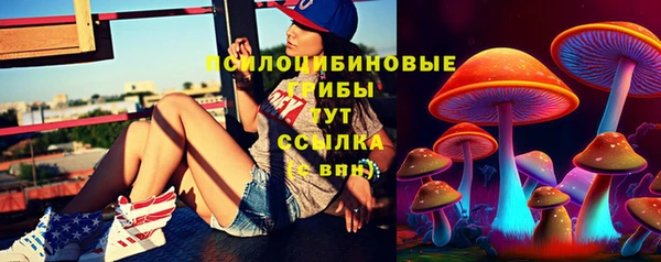 mdma Карпинск